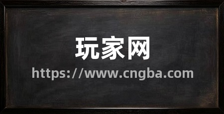 玩家网