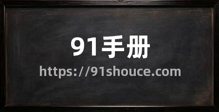 91手册