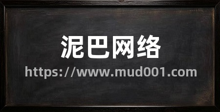 泥巴网络
