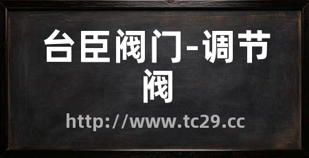 台臣阀门-调节阀
