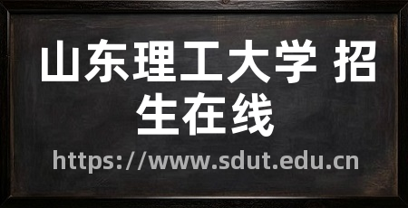 山东理工大学 招生在线