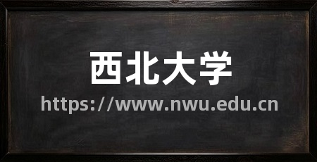 西北大学