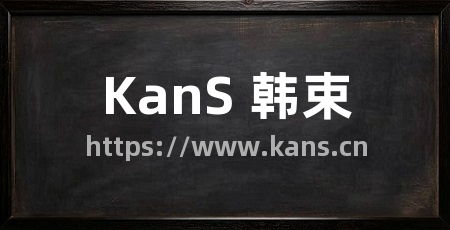 KanS 韩束