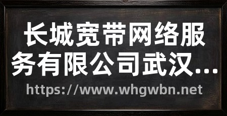 长城宽带网络服务有限公司武汉分公司