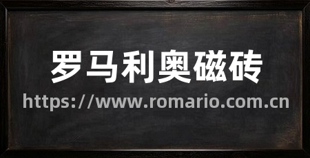 罗马利奥磁砖