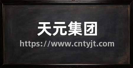 天元集团