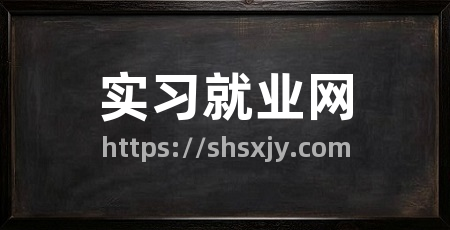 实习就业网