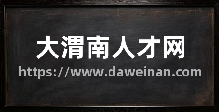 大渭南人才网