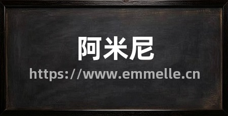 阿米尼