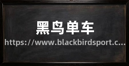 黑鸟单车