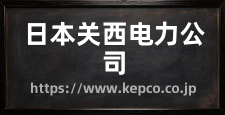 日本关西电力公司